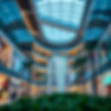 Magnificent An In-Depth Examination of Paul Nakheel Mall