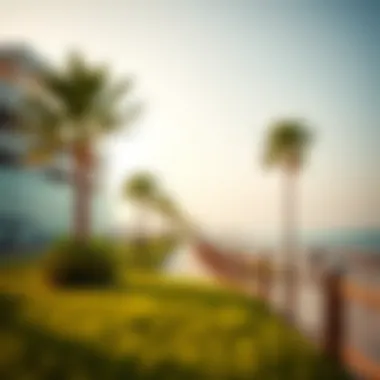 Magnificent Exploring Al Mamzar Beach in Dubai: A Comprehensive Insight