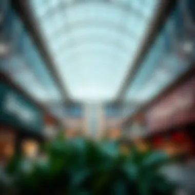 Magnificent Exploring Dragon Mall Dubai: A Comprehensive Insight Magnificent Exploring Dragon Mall Dubai: A Comprehensive Insight
