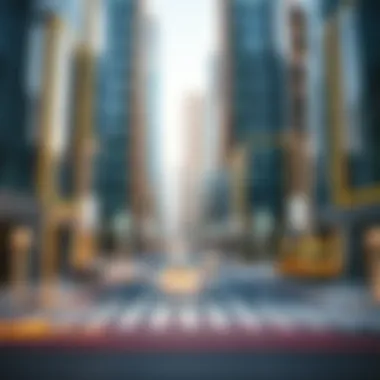 Magnificent Exploring the Dynamics of Downtown Zayed Magnificent Exploring the Dynamics of Downtown Zayed