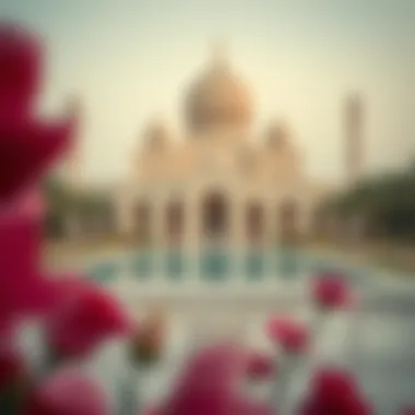 Magnificent Understanding Mother's Day in the UAE: Cultural Significance and Observances Magnificent Understanding Mother's Day in the UAE: Cultural Significance and Observances