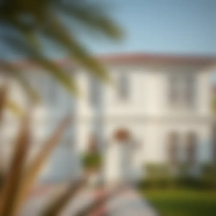 A Comprehensive Guide to Painting Your House in Dubai Summary A Comprehensive Guide to Painting Your House in Dubai Summary