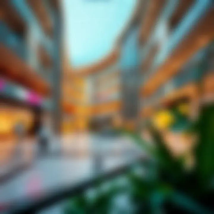An In-Depth Examination of Paul Nakheel Mall Summary
