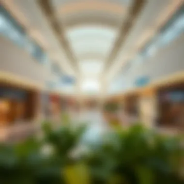 Interior layout of Carrefour Pavilion highlighting shopping areas