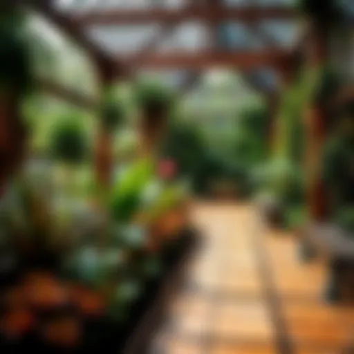 A stunning botanical garden showcasing diverse plant species.