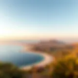 Stunning view of Bani Yas Island's lush landscape and pristine beaches