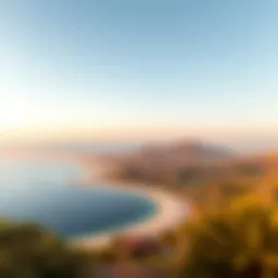 Stunning view of Bani Yas Island's lush landscape and pristine beaches