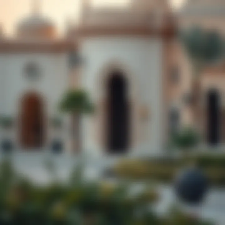 Cultural Influences of Dhabi Al Reem Cultural elements influenced by Dhabi Al Reem