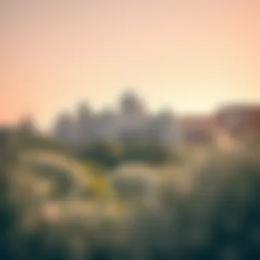 Ecological Features of Dhabi Al Reem Ecological features surrounding Dhabi Al Reem