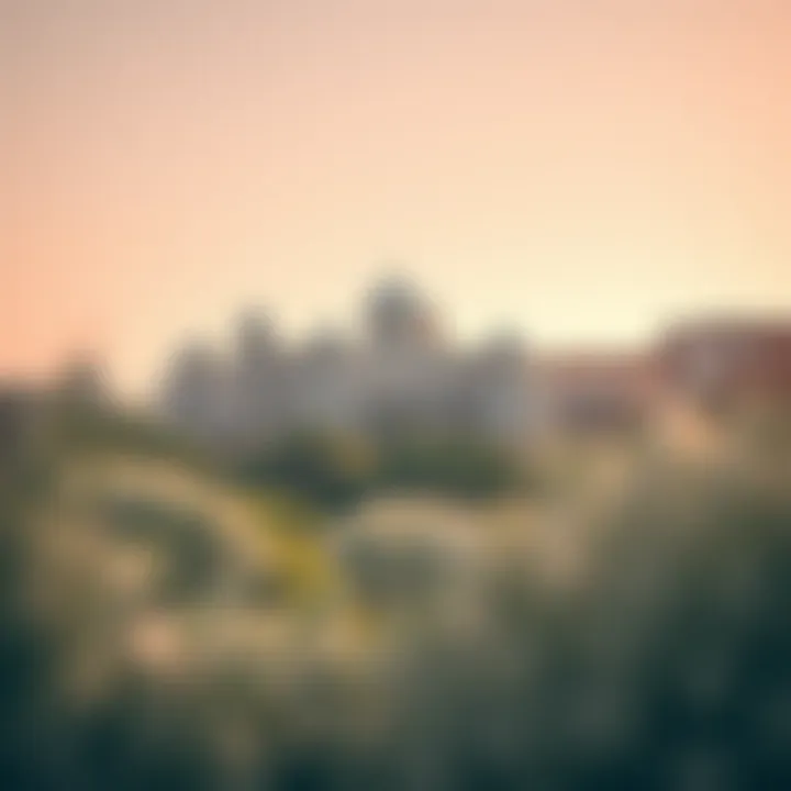 Ecological Features of Dhabi Al Reem Ecological features surrounding Dhabi Al Reem