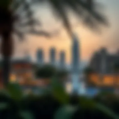 Future Developments in Dip Dubai Conceptual illustration of future developments and lifestyle amenities planned for Dip Dubai