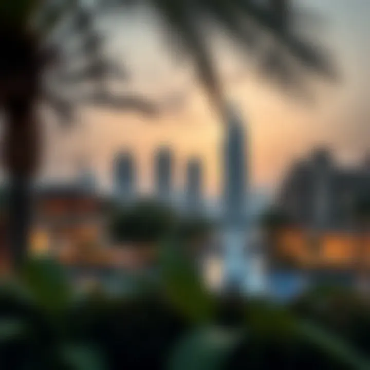 Future Developments in Dip Dubai Conceptual illustration of future developments and lifestyle amenities planned for Dip Dubai