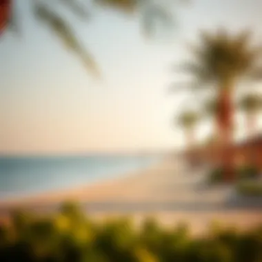 Exploring Al Mamzar Beach in Dubai: A Comprehensive Insight Summary Exploring Al Mamzar Beach in Dubai: A Comprehensive Insight Summary