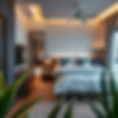 Exploring Bed Space in Discovery Gardens Summary Exploring Bed Space in Discovery Gardens Summary