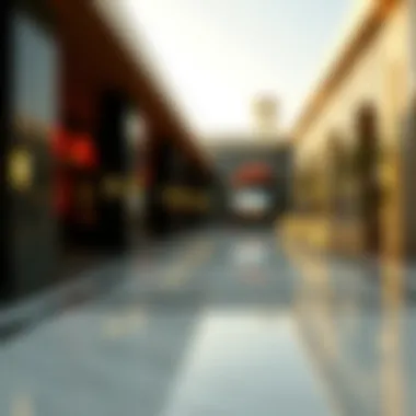Exploring Entertainment for Adults in Dubai: A Comprehensive Overview Summary