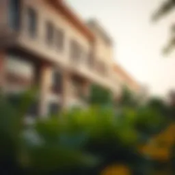 Overview of the Delhi Public School campus in Dubai