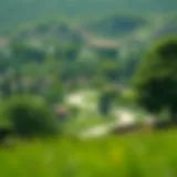 Lush green landscape of Muwaileh Park