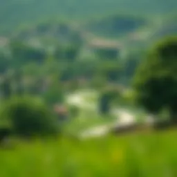 Lush green landscape of Muwaileh Park