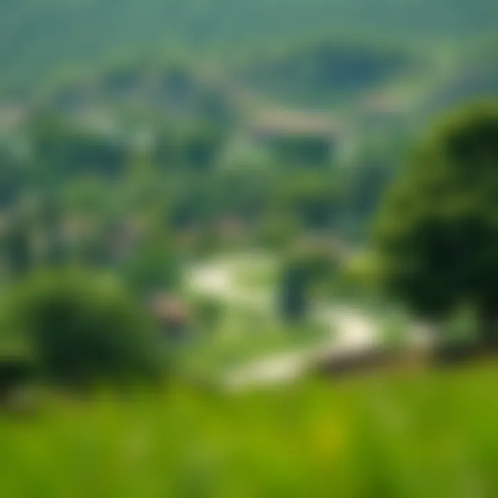 Lush green landscape of Muwaileh Park