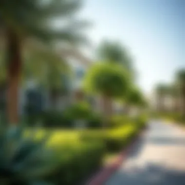 Neighborhood Park in Al Qusais Neighborhood park in Al Qusais showcasing greenery