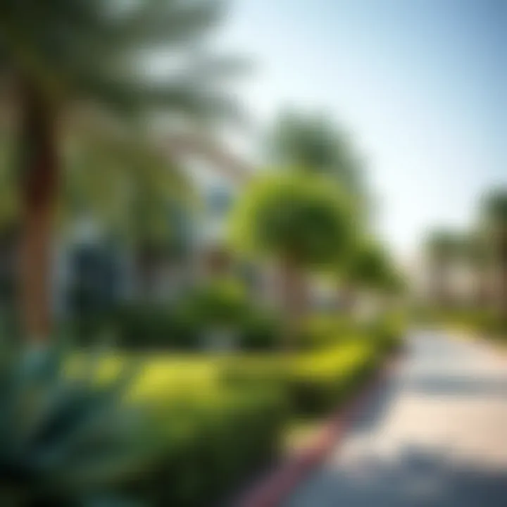 Neighborhood Park in Al Qusais Neighborhood park in Al Qusais showcasing greenery