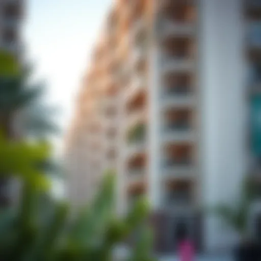 Exploring Rental Apartments in Muwaileh Commercial Introduction