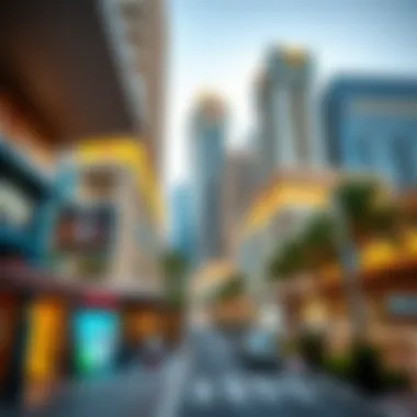 Exploring the Dynamics of Downtown Zayed Summary