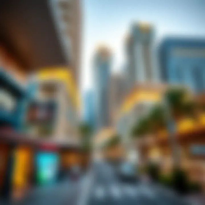 Exploring the Dynamics of Downtown Zayed Summary