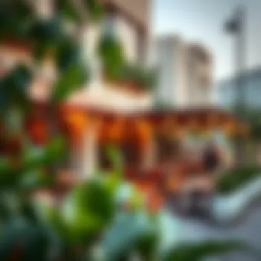 Trendy Cafe Scene in Mohammed Bin Zayed Area Trendy cafe scene in Mohammed Bin Zayed area highlighting community lifestyle