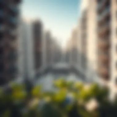 Exploring the Significance of 2 BHK Apartments in Dubai's Real Estate Market Summary Exploring the Significance of 2 BHK Apartments in Dubai's Real Estate Market Summary