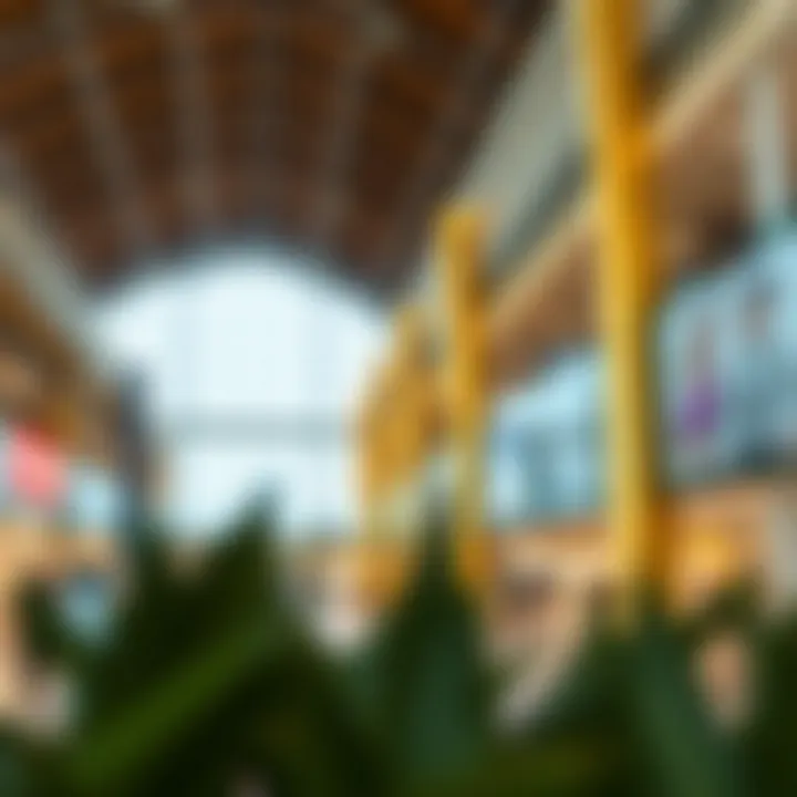 Exploring the Visual Appeal of Mercato Shopping Mall: An In-Depth Analysis Summary Exploring the Visual Appeal of Mercato Shopping Mall: An In-Depth Analysis Summary