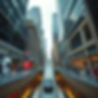 Notable Exploring the WTC Mall Slide: A Multifaceted Perspective Notable Exploring the WTC Mall Slide: A Multifaceted Perspective