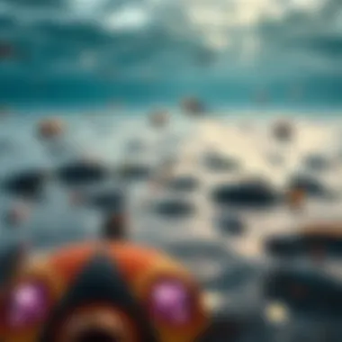 Diverse marine life in the waters of Jumeirah