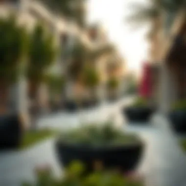 Luxurious Amenities in Jumeirah Parks Luxurious amenities available in Jumeirah Parks community