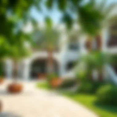 Community Spaces and Greenery in Marsa Bateen Vibrant community spaces in Marsa Bateen filled with greenery