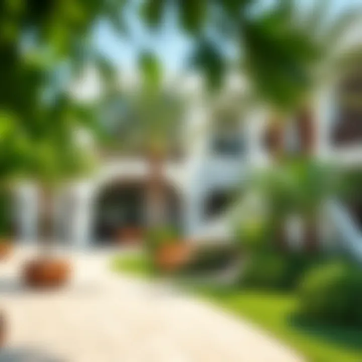 Community Spaces and Greenery in Marsa Bateen Vibrant community spaces in Marsa Bateen filled with greenery