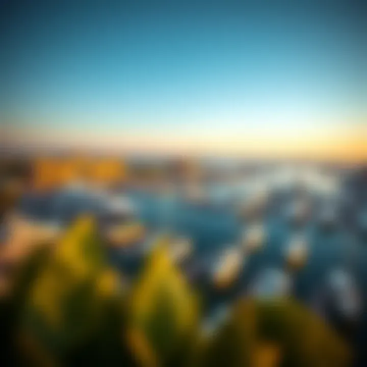 Marina Life at Marsa Bateen Aerial view of the marina at Marsa Bateen with yachts docked